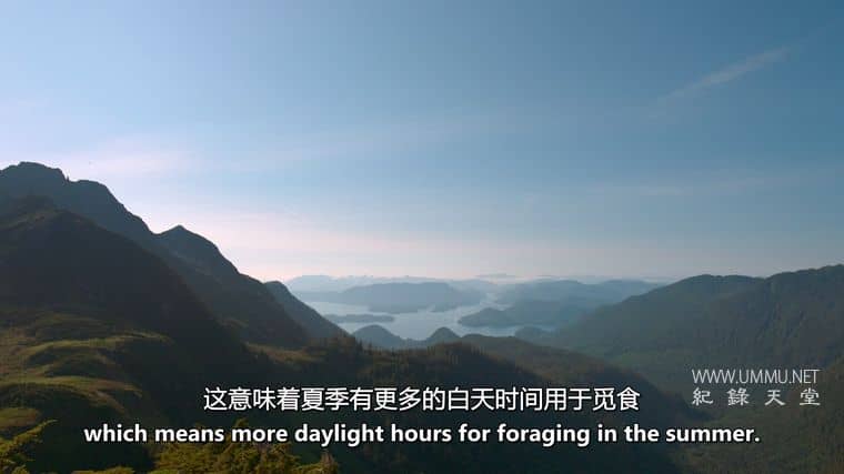 阿拉斯加之夏 Alaskan Summer