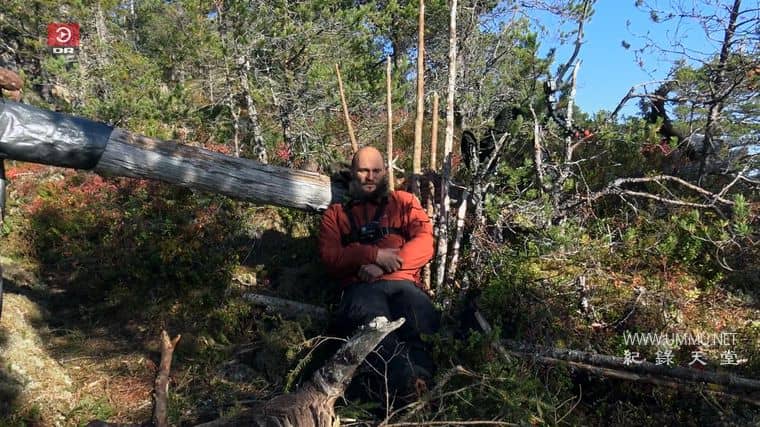 丹麦版荒野独居 Alene i vildmarken