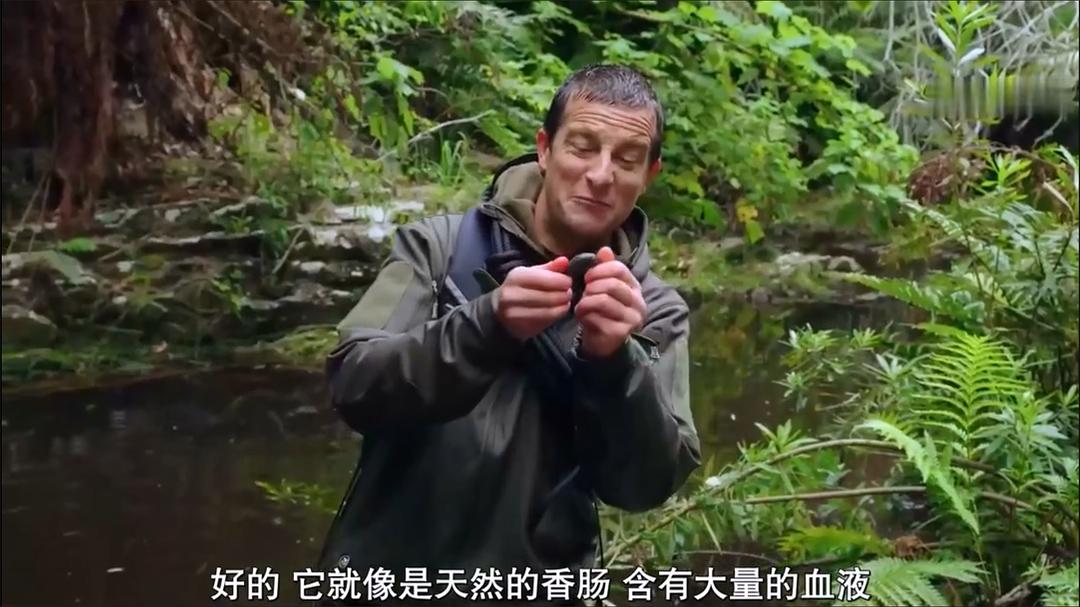你的荒野求生电影版：出逃的野兽 Animals on the Loose: A You vs. Wild Movie