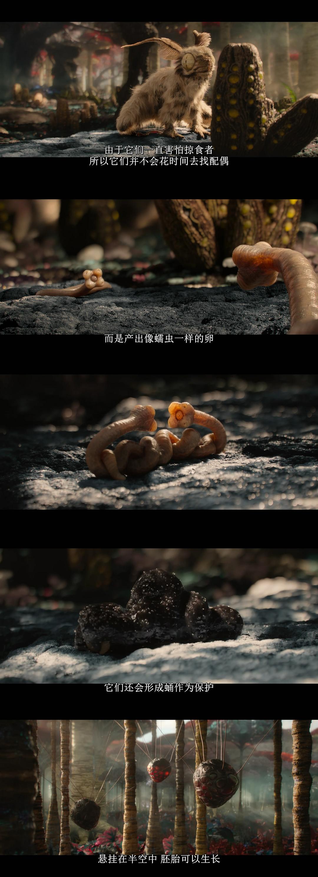 外星世界 Alien Worlds