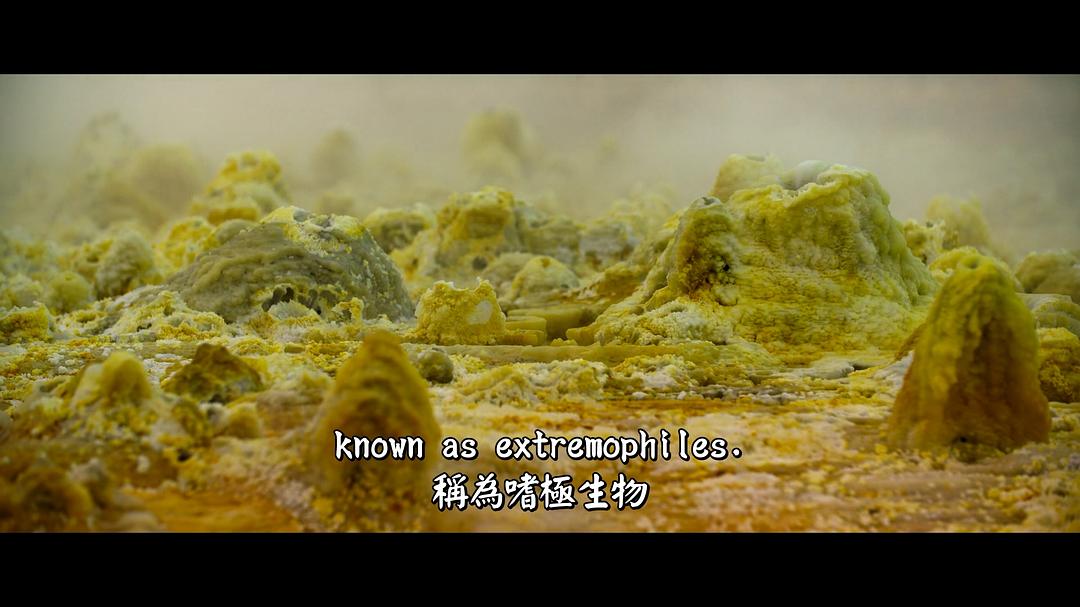 外星世界 Alien Worlds