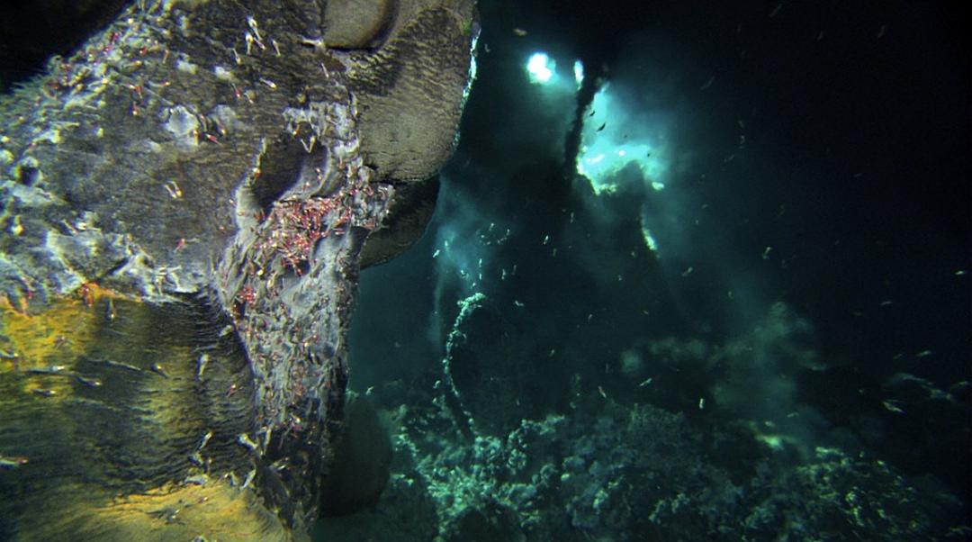 深海异形 Aliens of the Deep