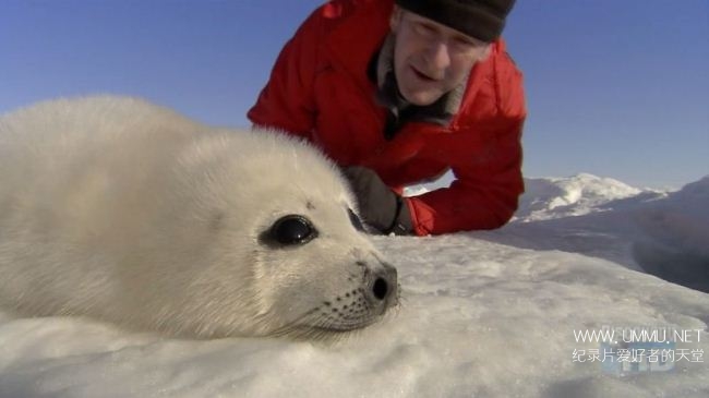 北极曝光 Arctic Exposure