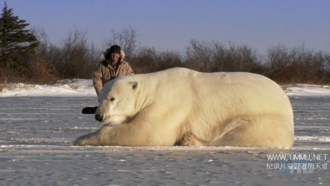 北极曝光 Arctic Exposure