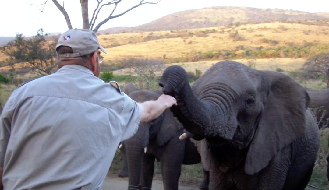 恋爱中的动物 Animals and Love