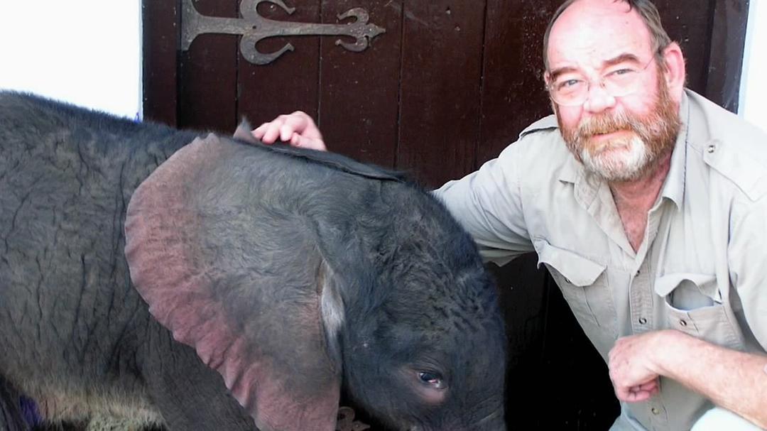 恋爱中的动物 Animals and Love