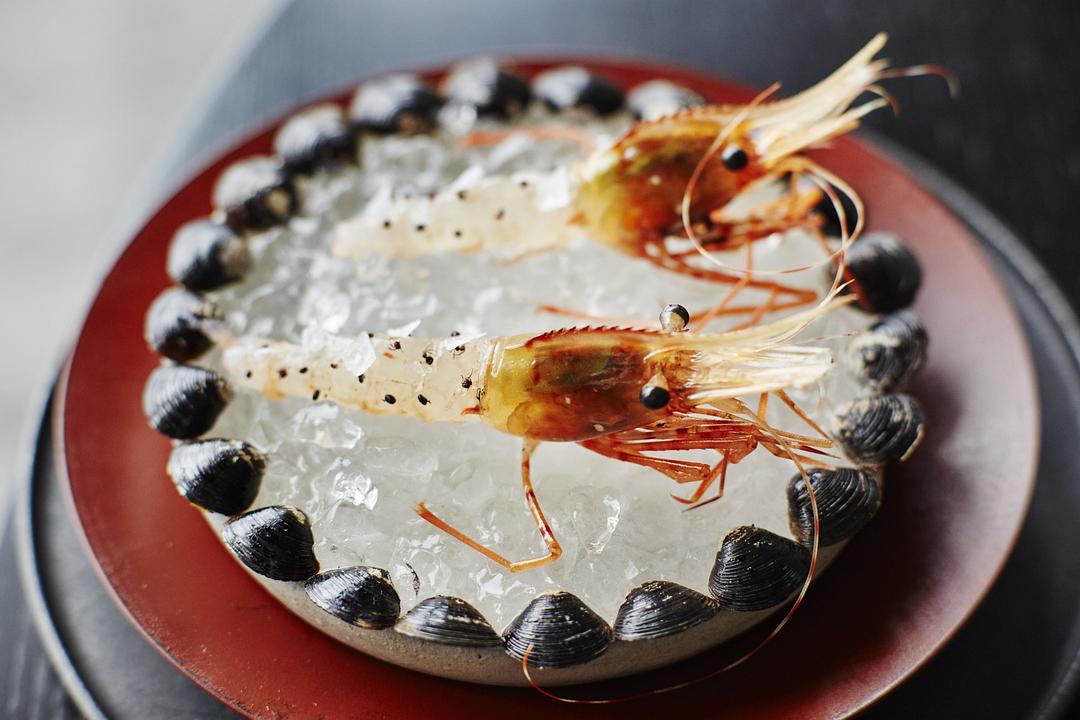 虾上蚂蚁 Ants on a Shrimp