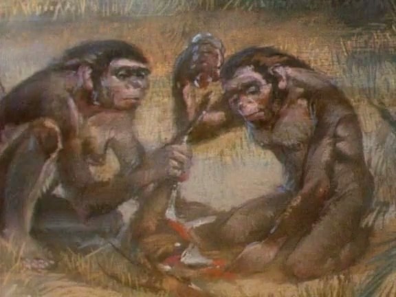 人类起源之谜 National Geographic Specials: Mysteries of Mankind