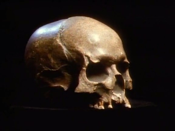 人类起源之谜 National Geographic Specials: Mysteries of Mankind