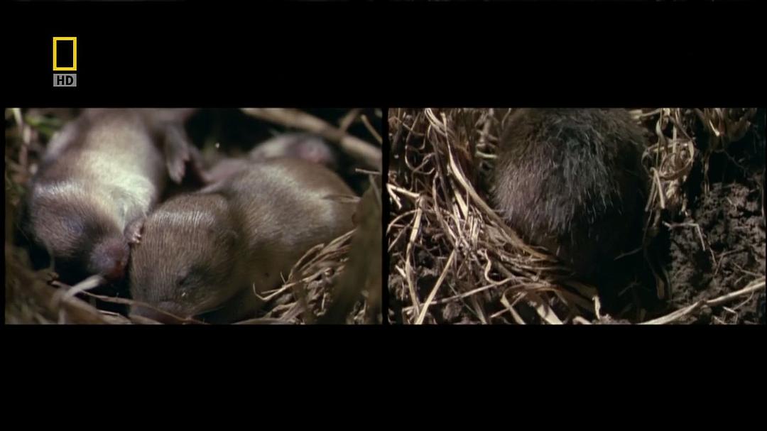 科学新发现：怎样才性感 Naked Science: What&#x27;s Sexy?