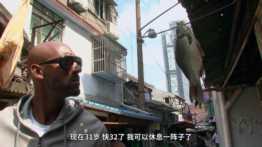 阿内尔卡：全是误解 Anelka: L&#x27;Incompris