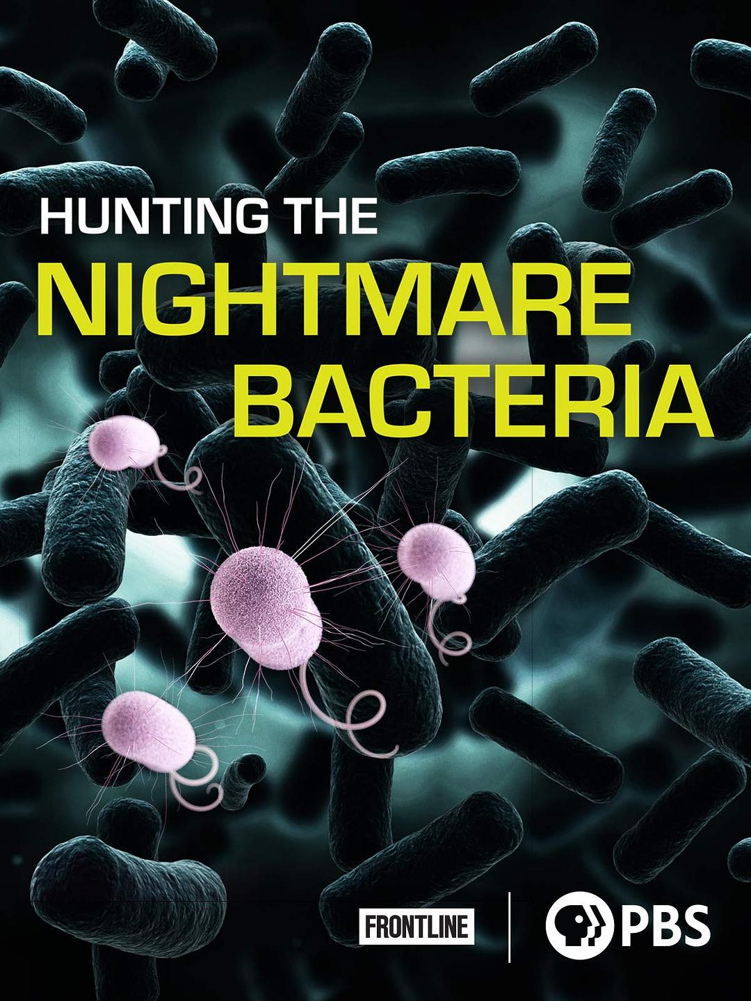 猎杀超级细菌 hunting the nightmare bacteria