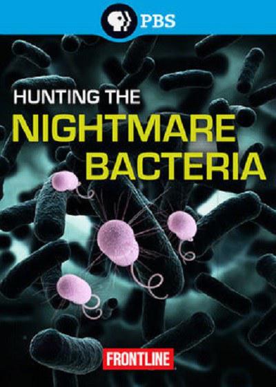 猎杀超级细菌 hunting the nightmare bacteria