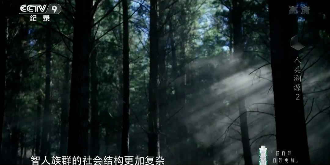 人类溯源 First Man