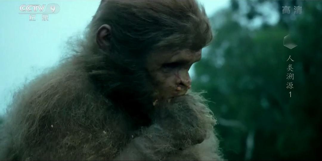 人类溯源 First Man