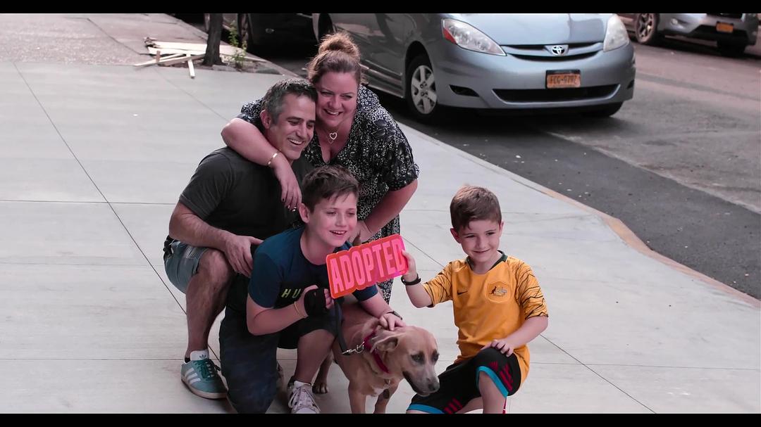 爱犬情深 第一季 Dogs Season 1