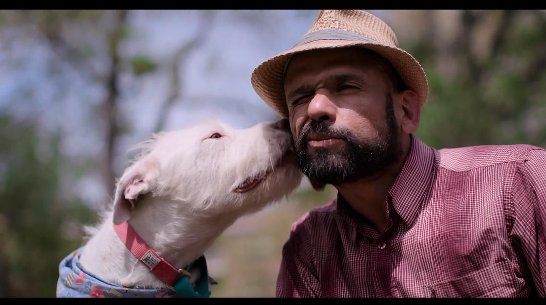 爱犬情深 第一季 Dogs Season 1