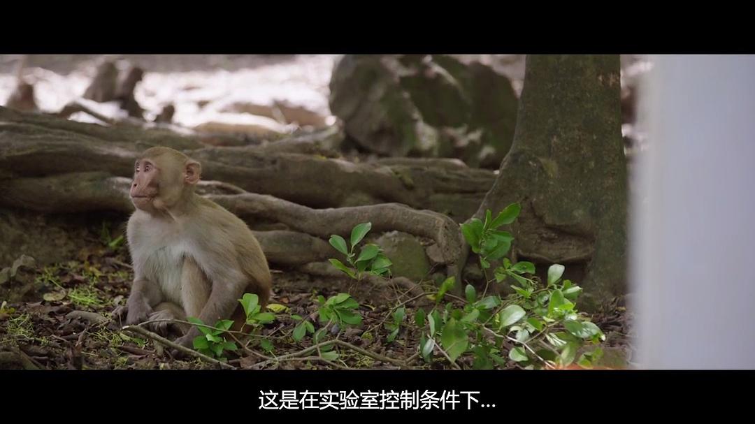 探索未知的边界 The Most Unknown