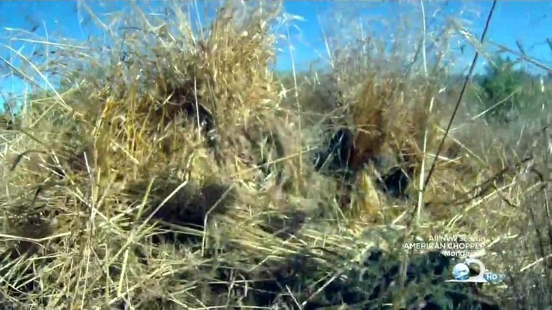 尖兵实录 第一季 Surviving The Cut Season 1