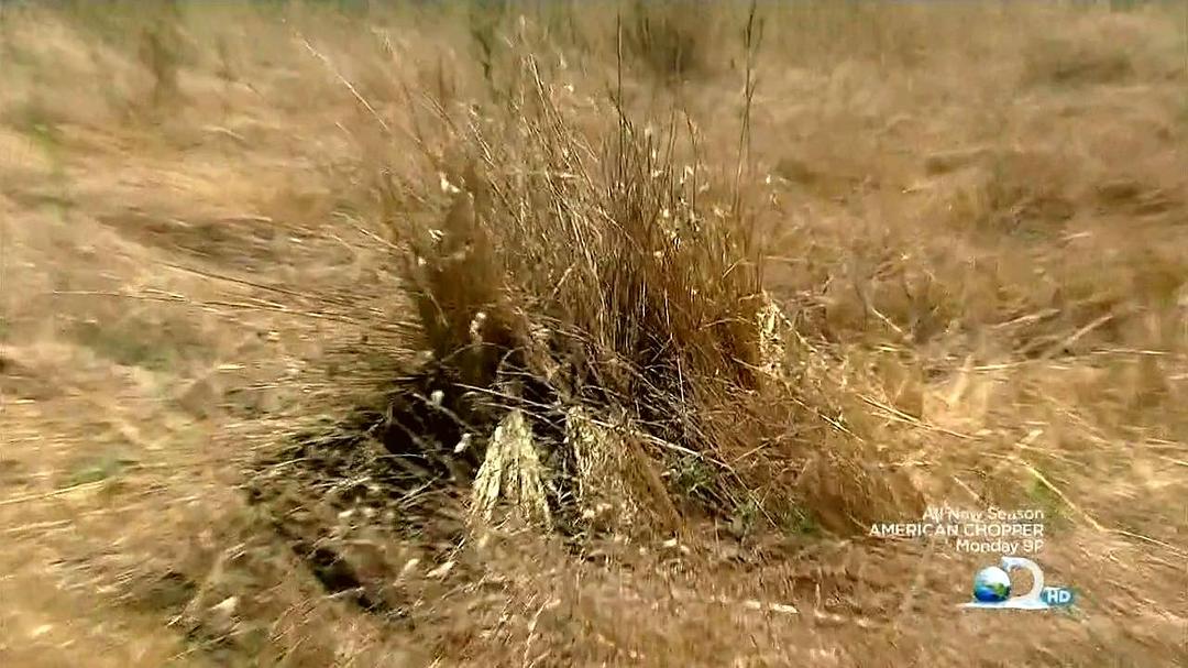 尖兵实录 第一季 Surviving The Cut Season 1