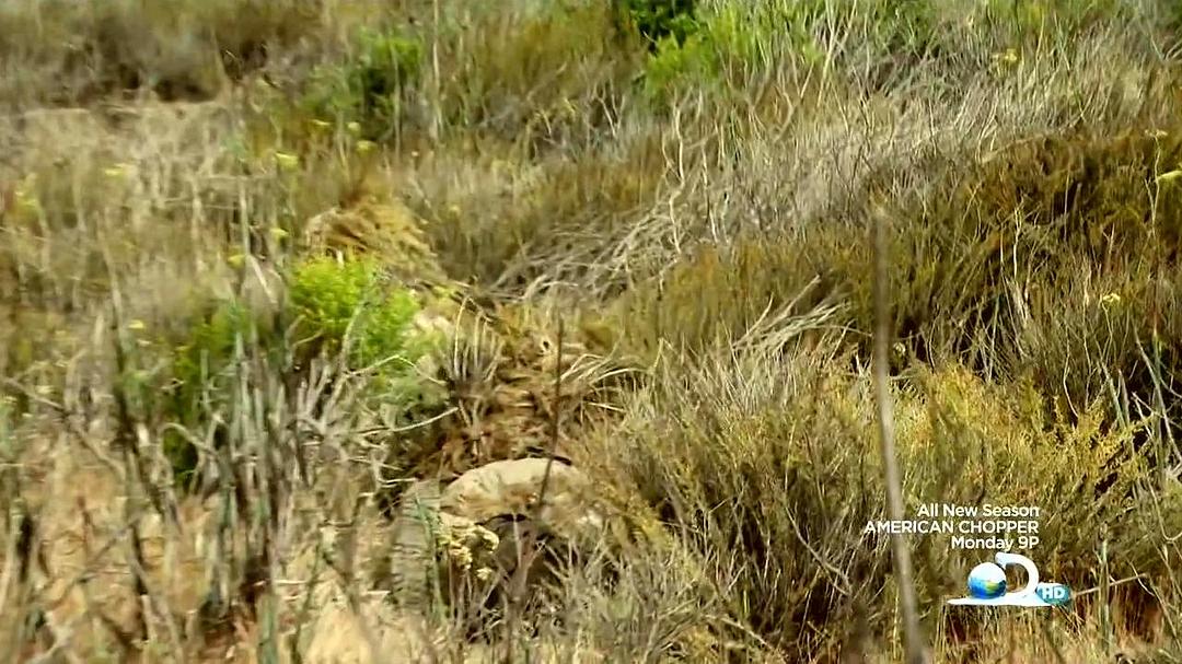 尖兵实录 第一季 Surviving The Cut Season 1