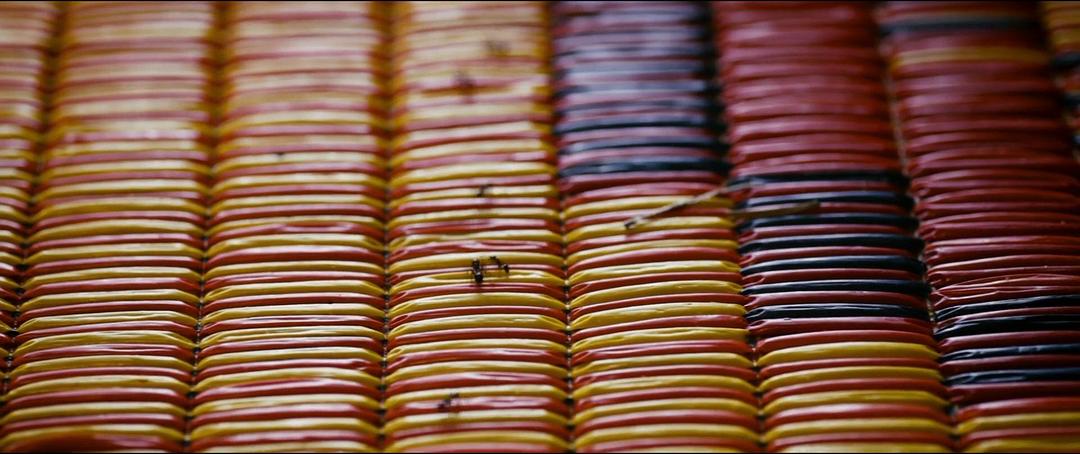 与我同行 Walk with Me