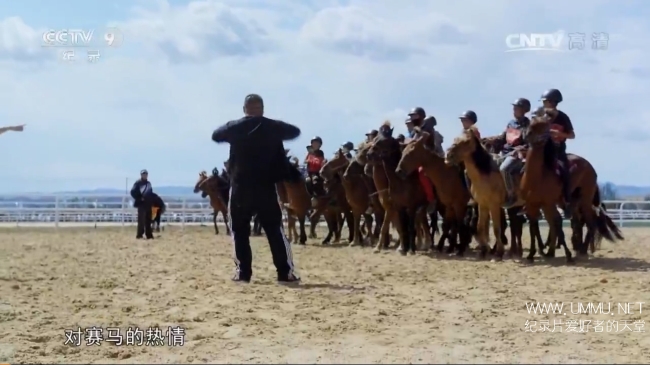 少年与马 A Story About The Boy And The Horse