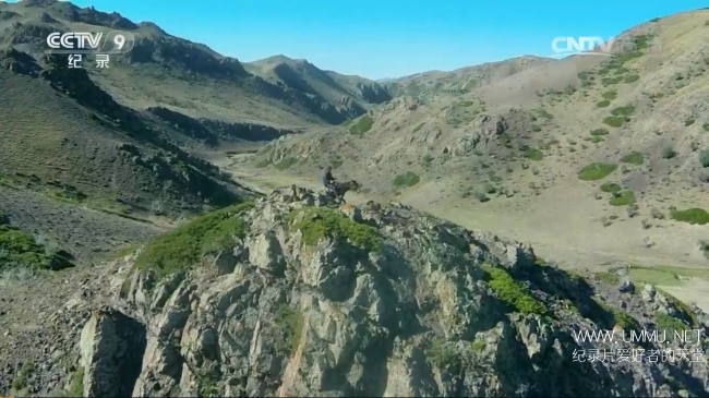 少年与马 A Story About The Boy And The Horse