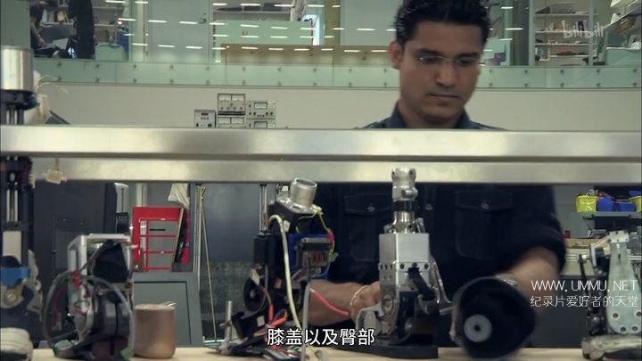 超越人类的世界 A World Beyond Humans