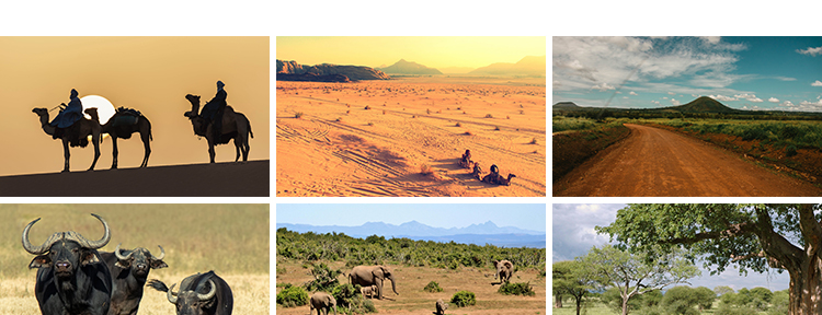 非洲景观风光旅游自然风景大象草原动物人文沙漠照片JPG图片素材