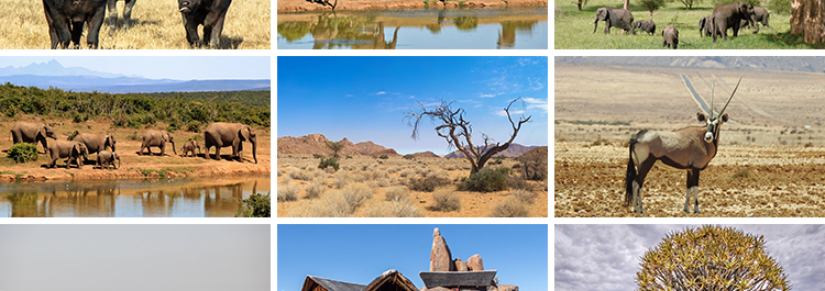 非洲景观风光旅游自然风景大象草原动物人文沙漠照片JPG图片素材