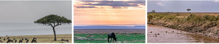 非洲景观风光旅游自然风景大象草原动物人文沙漠照片JPG图片素材