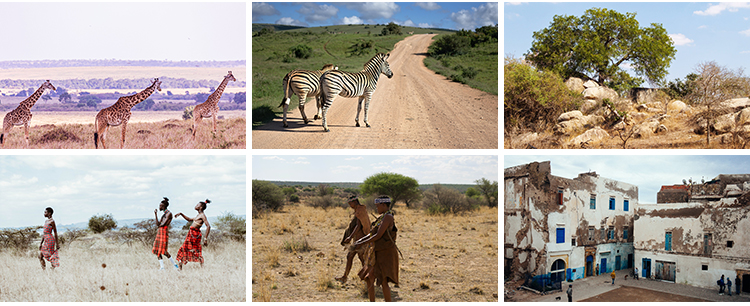 非洲景观风光旅游自然风景大象草原动物人文沙漠照片JPG图片素材