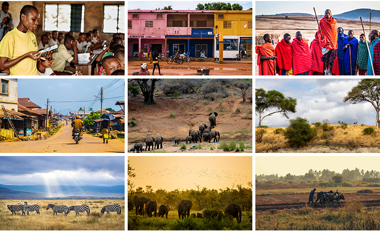 非洲景观风光旅游自然风景大象草原动物人文沙漠照片JPG图片素材