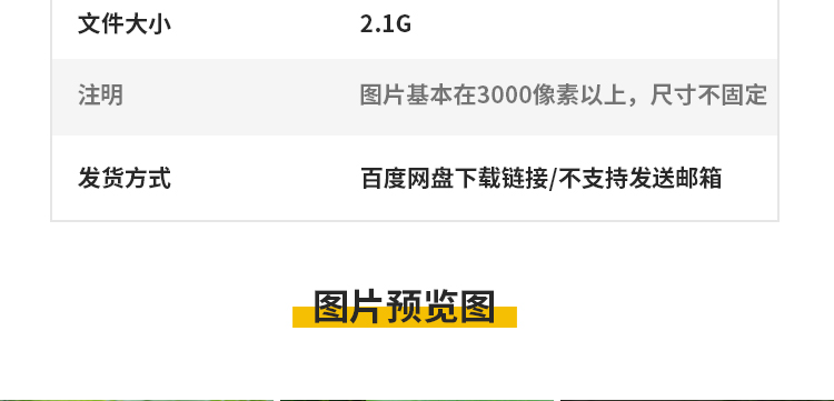 荷花荷叶粉红白色荷塘夏日莲蓬莲花植物特写实拍摄影照片图片素材