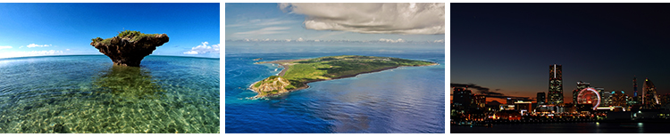 日本东京城市建筑风光夜景街道街景富士山樱花旅游风景图片照素材