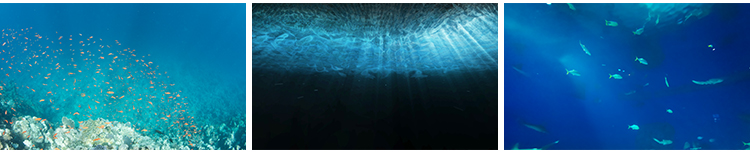 海底世界海底光线照射大海水下水花水面波纹海景背景图片设计素材