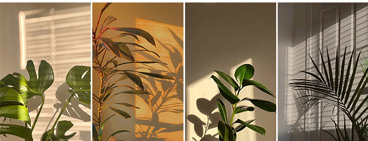 光影氛围室内唯美落日暖光打灯光抖音虚拟直播间背景绿幕图片素材