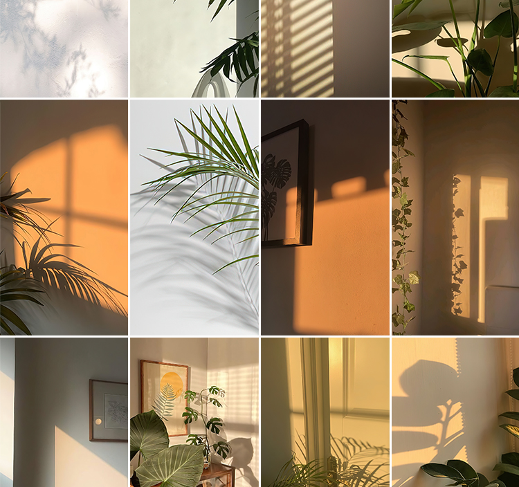 光影氛围室内唯美落日暖光打灯光抖音虚拟直播间背景绿幕图片素材