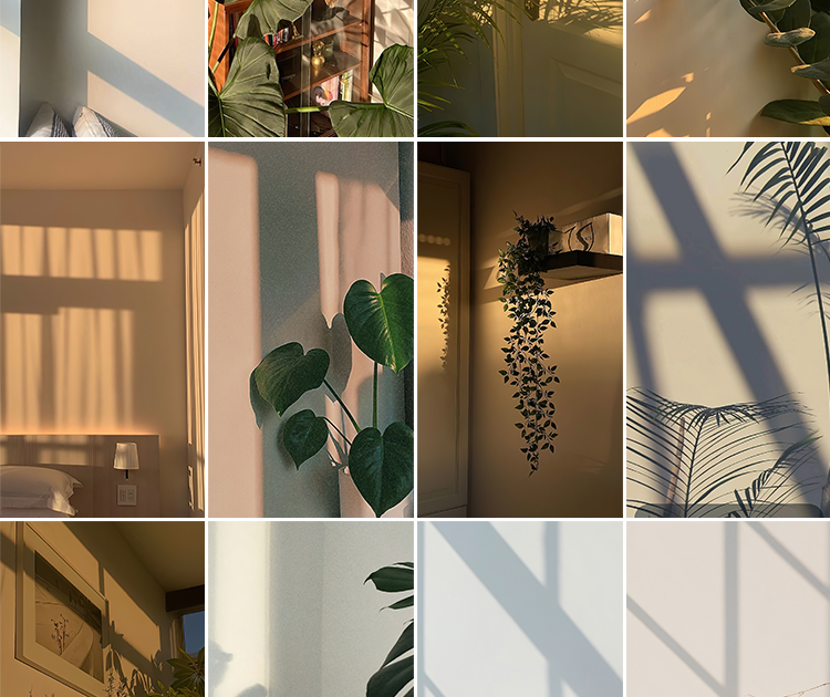 光影氛围室内唯美落日暖光打灯光抖音虚拟直播间背景绿幕图片素材