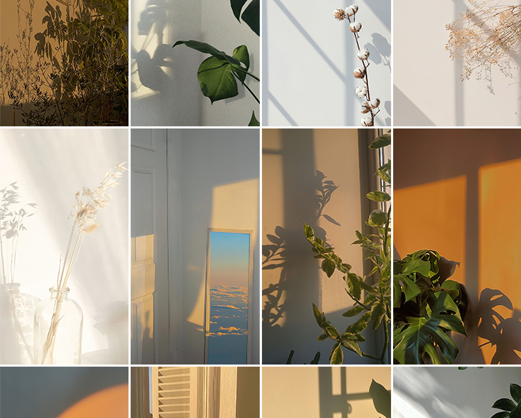 光影氛围室内唯美落日暖光打灯光抖音虚拟直播间背景绿幕图片素材