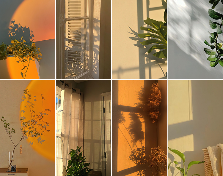 光影氛围室内唯美落日暖光打灯光抖音虚拟直播间背景绿幕图片素材