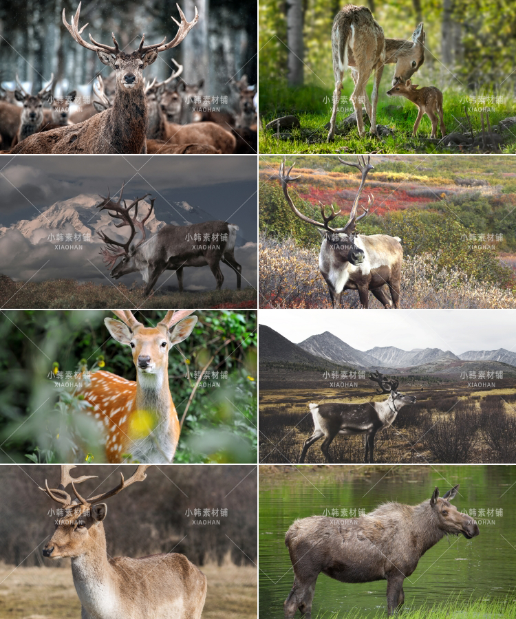 杭州西湖广东新疆城市风景横版高清抖音自媒体pr剪辑背景图片素材