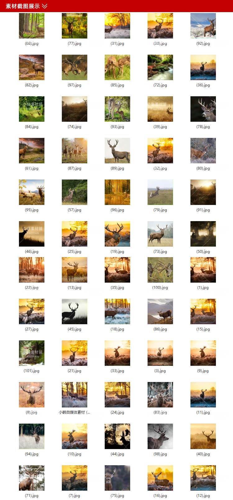 155张高清梅花鹿麋鹿动物横版高清抖音自媒体pr剪辑背景图片素材