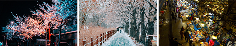 韩国首尔城市风光夜景街道街景建筑旅游风景摄影JPG照片图片素材