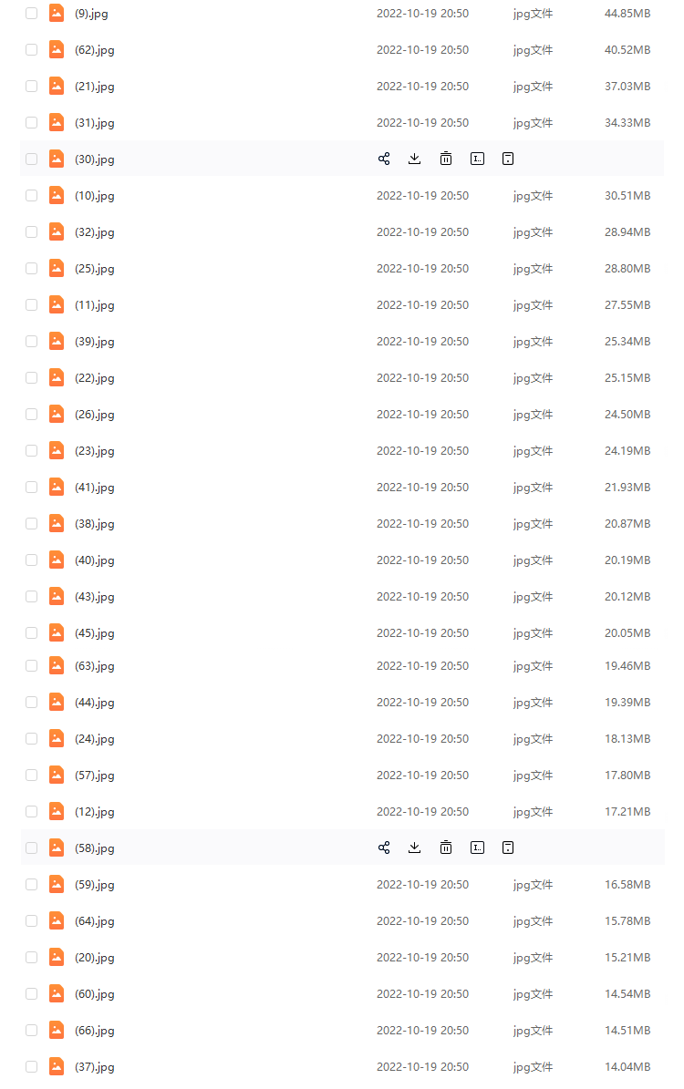 63张红枫枫叶树横版高清抖音自媒体pr剪辑背景图片素材