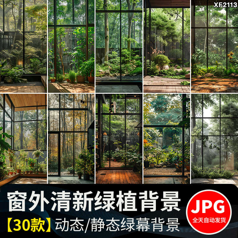 窗外绿植物树林室内绿色清新虚拟动态视频绿幕直播间背景图片素材