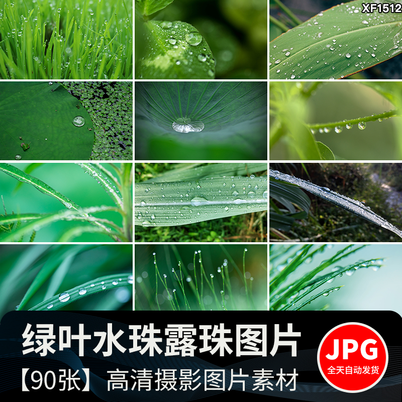 水珠清新绿色露珠露水青草小草叶子雨后水滴JPG高清图片设计素材