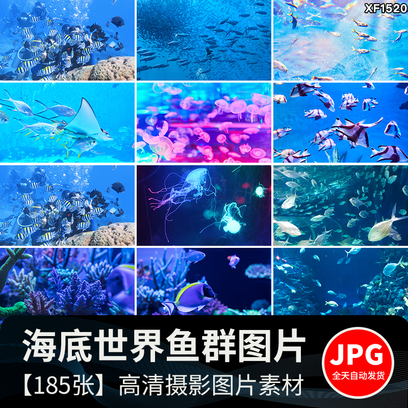 海底世界海洋生物动物小鱼群鱼类珊瑚礁抖音设计高清背景图片素材