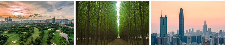 广东深圳城市建筑夜景街道旅游风景摄影照片高清JPG图片设计素材